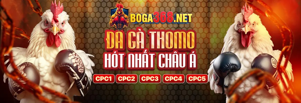 Tin tức ebet đá gà mới nhất