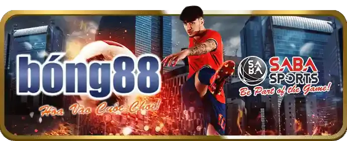 Cá cược bóng đá tại ebet đá gà